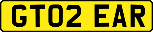 GT02EAR