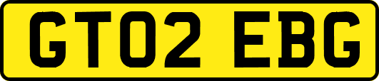 GT02EBG