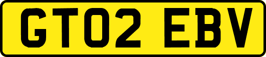 GT02EBV