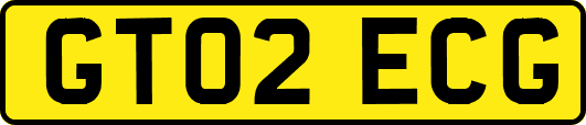 GT02ECG