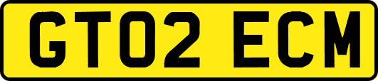 GT02ECM