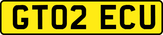 GT02ECU