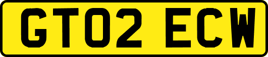 GT02ECW