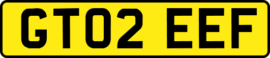 GT02EEF