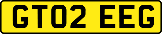 GT02EEG