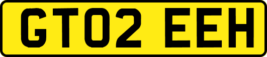 GT02EEH