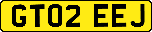 GT02EEJ
