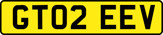GT02EEV