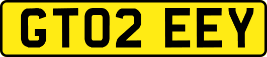 GT02EEY