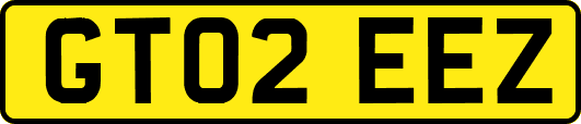 GT02EEZ