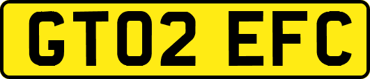 GT02EFC