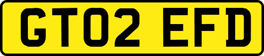 GT02EFD