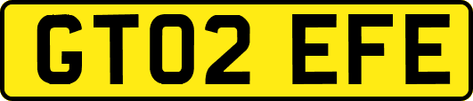 GT02EFE