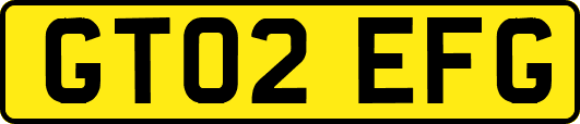 GT02EFG