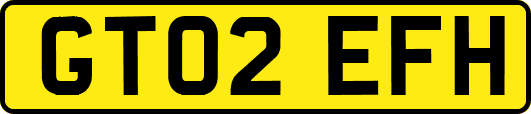 GT02EFH