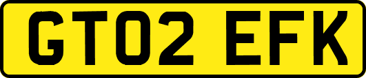 GT02EFK