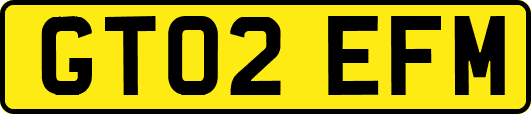 GT02EFM