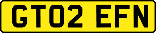 GT02EFN