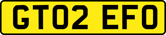GT02EFO