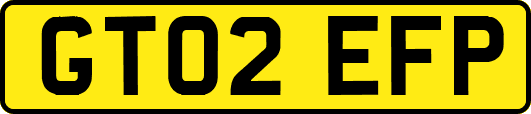 GT02EFP