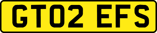 GT02EFS