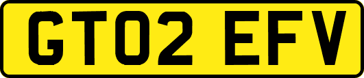 GT02EFV