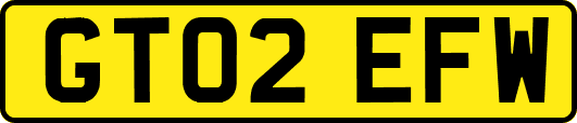 GT02EFW