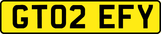GT02EFY