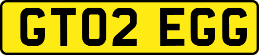 GT02EGG