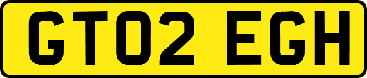 GT02EGH