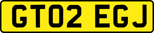GT02EGJ