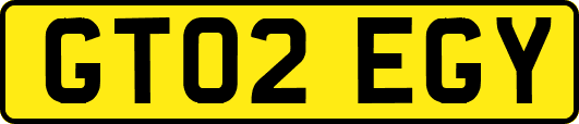 GT02EGY