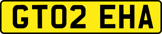 GT02EHA