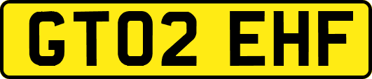 GT02EHF