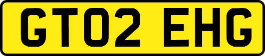 GT02EHG