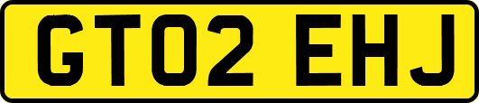 GT02EHJ