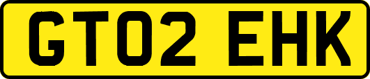 GT02EHK