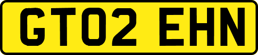 GT02EHN