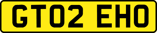 GT02EHO