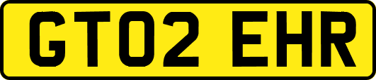 GT02EHR