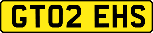 GT02EHS