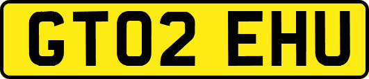 GT02EHU