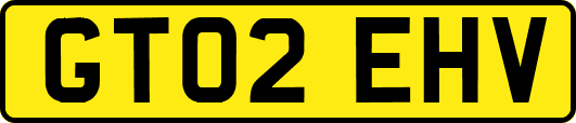 GT02EHV