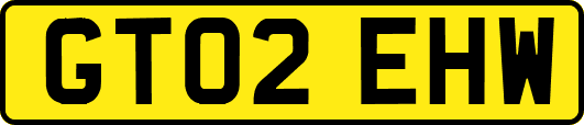 GT02EHW