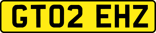 GT02EHZ