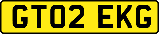 GT02EKG