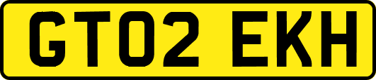 GT02EKH