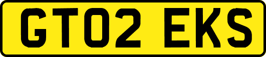 GT02EKS