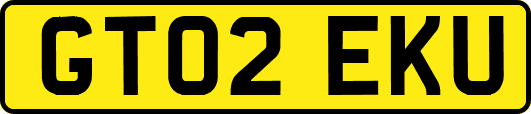 GT02EKU