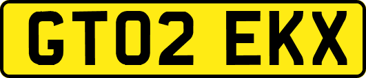 GT02EKX